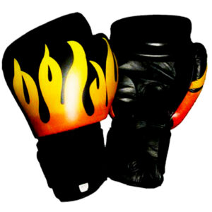 Flame Style Kickboxing  Boxing Gloves in top grade leather best for boxing muay thai sparring fighting