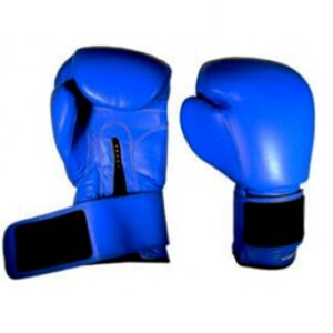 Premium Boxing Gloves for Men – Kickboxing Gloves in unique design best for boxing mma muay thai training & competition fights