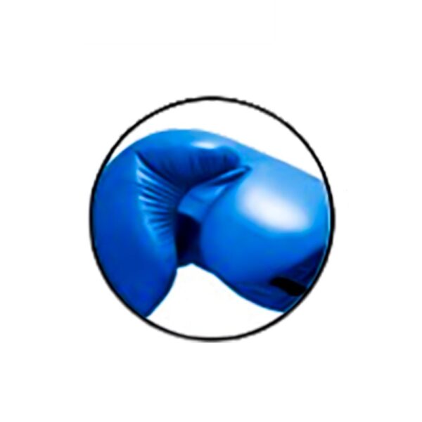 Premium Boxing Gloves for Men – Kickboxing Gloves in unique design best for boxing mma muay thai training & competition fights - Image 2