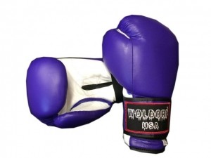 Kickboxing Training Boxing Gloves in high quality leather for boxing kickboxing muay thai sparring fighting