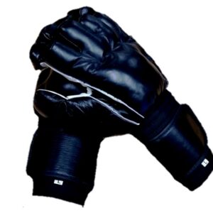 Kempo Gloves in high quality leather best for boxing kickboxing mma fightting