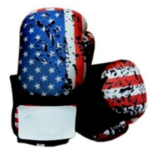 Washable Boxing Gloves In American Flag with heavy padded best for boxing kickboxing fights