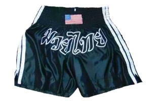 Martial Arts Satin Muay Thai shorts in high quality for training mma muay thai boxing kickboxing fightings