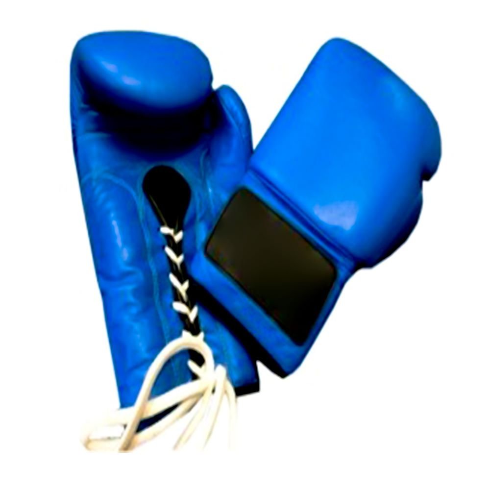 Professional High quality Kickboxing Lace Up Boxing Gloves In Cow Hide leather for boxing training and competition fighting